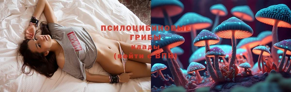 молекула духа Абинск